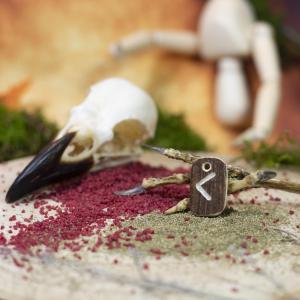 Runa ,,KAUNAZ" [ k ] - Vikinský amulet z jeleního parohu 2
