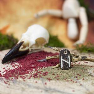 Pendant - Rune ,,HAGALAZ" [ h ] - Viking deer antler amulet 2