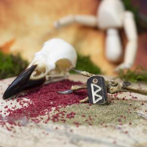 Pendant - Rune ,,BERKANA" [ b ] - Viking deer antler amulet 2