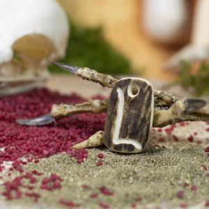 Pendant "L" carved into deer antler