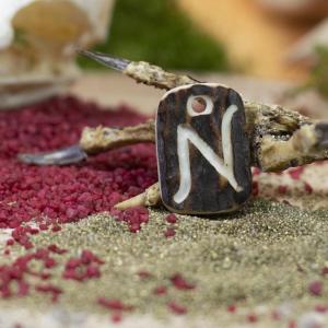 Anhänger "N" in Hirschgeweih geschnitzt