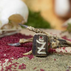 Pendant "Ž" carved into deer antler