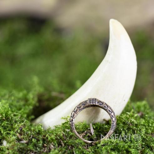 Viking Ring Orupgård, Denmark - bronze