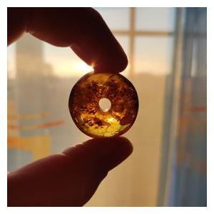 Baltic amber - DONUT - original jewel