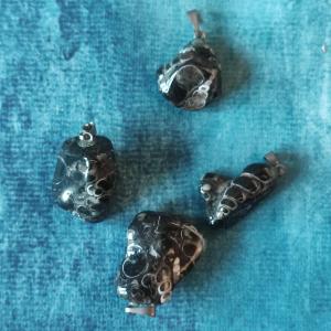 Polished TURITELLA - fossilized shells as a symbol of survival 2