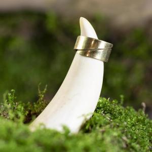 Ring mit Runen für physische und psychische Kraft - Messing, handgeschmiedet 2