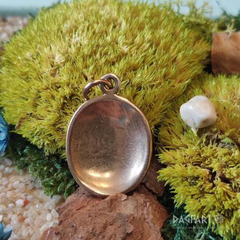 Pendant Dog paw, Wolf track - bronze