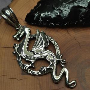 DLOUHÝ DRAK  -  potomek čísnkého ohnivého draka