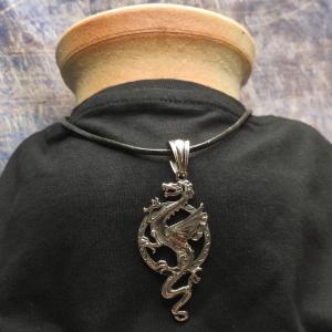 DLOUHÝ DRAK  -  potomek čísnkého ohnivého draka 2