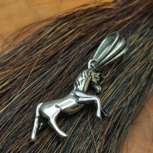 JEDNOROŽEC KARKADAN - amulet koně s jedním magickým rohem 2